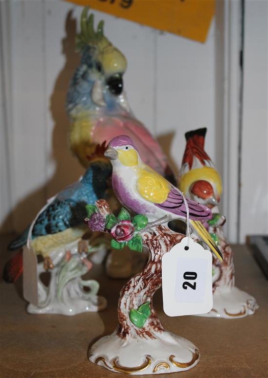 Four Continental porcelain models of parrots, various (including one pair)